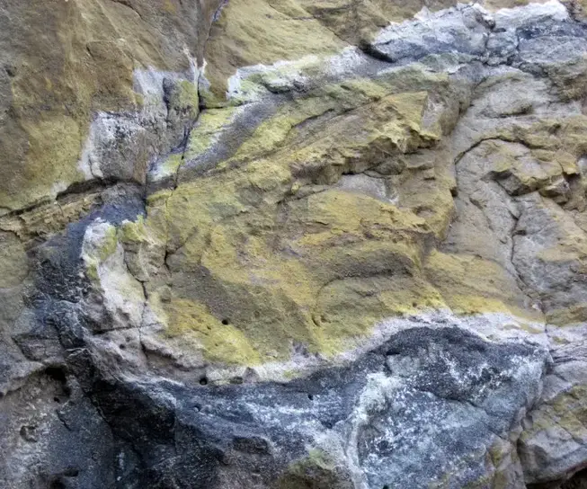 Uranium roll front hosted in Dakota Sandstone (Turkey Creek Road roadcut, Dakota Hogback, near Denver, Colorado, USA) 3 James St. John uranium photo