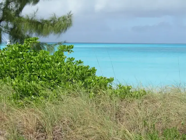 Vacances aux Bahamas 2008 Zebenji Colombus Isle photo