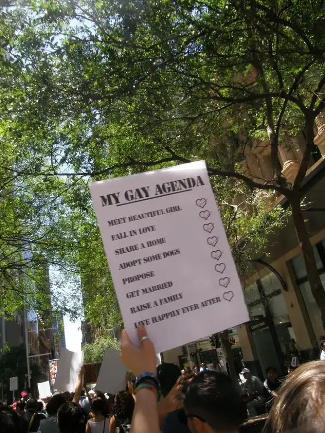 Gay Agenda Kaptain Kobold same sex wedding australia photo