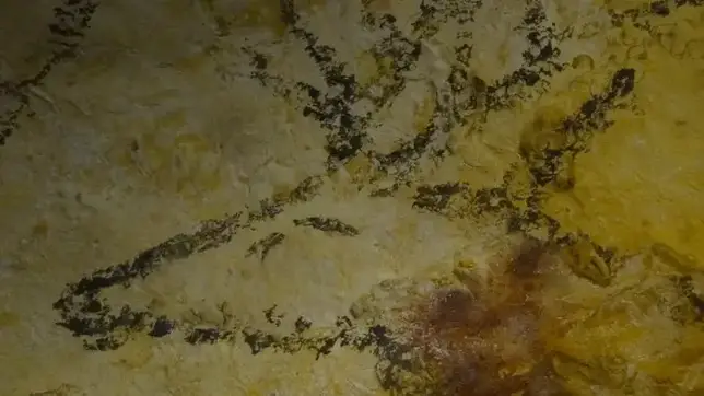 Lascaux 180 Ma Boîte à Image lascaux photo
