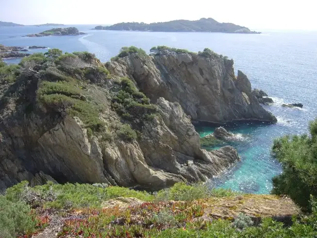 UNE PETITE CRIQUE marsupilami92 sentier littoral photo