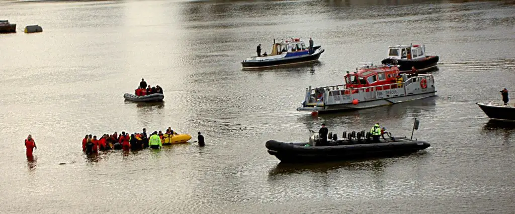 Thames_Whale_Rescue