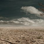 journee mondiale desertification secheresse